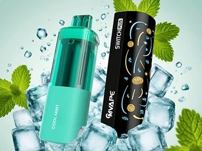 What is the best disposable menthol vape What is the best disposable menthol vape
