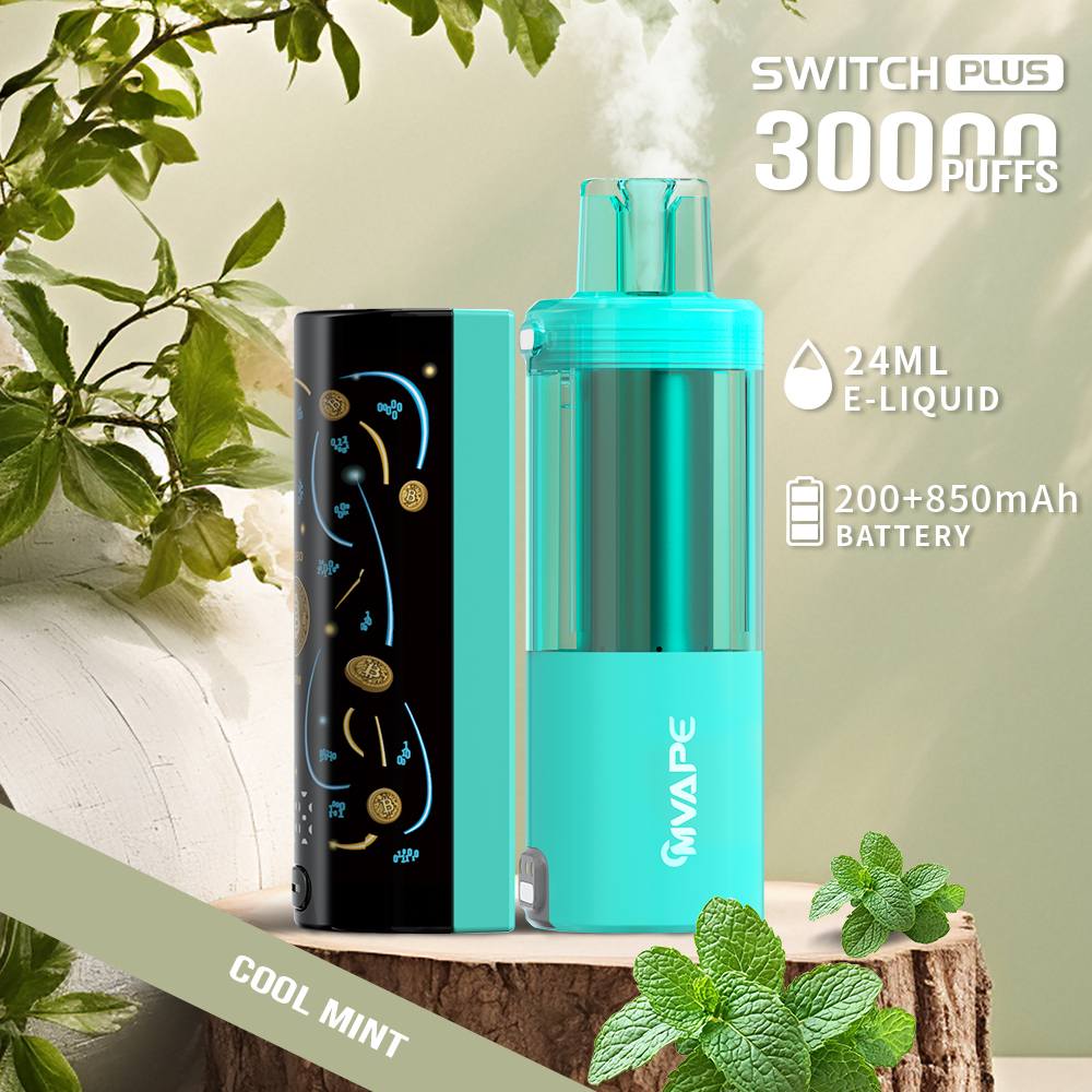menthol vape disposable1 menthol vape disposable1
