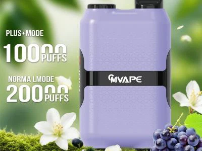 20000 Puff Disposable Vape Vs 10000 Puff: Which One Is More Cost-Effective?